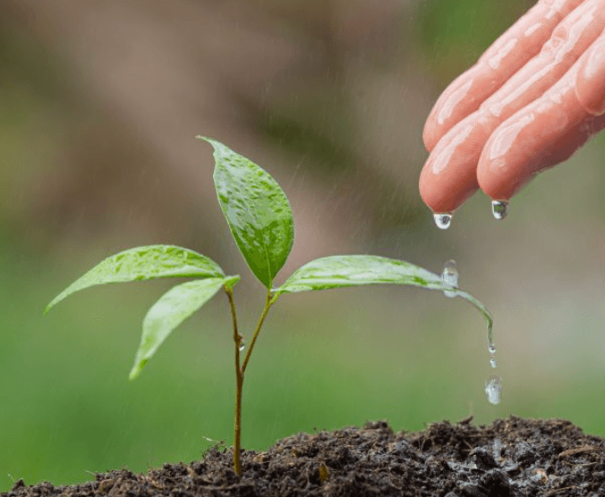 WTN Community Photos