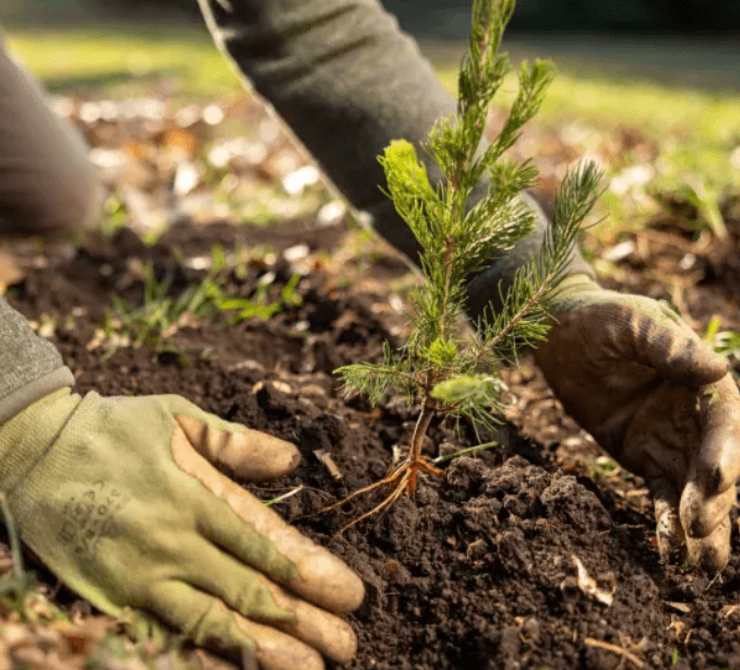 WTN Community Photos